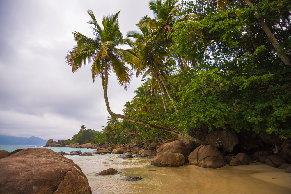 الانتقالات من Ilha Grande